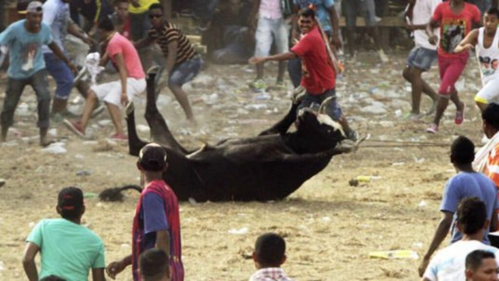 Tomado de twitter @andreanimalidad